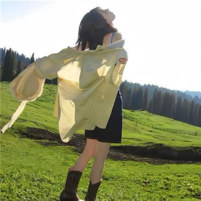 宫廷斗鸡